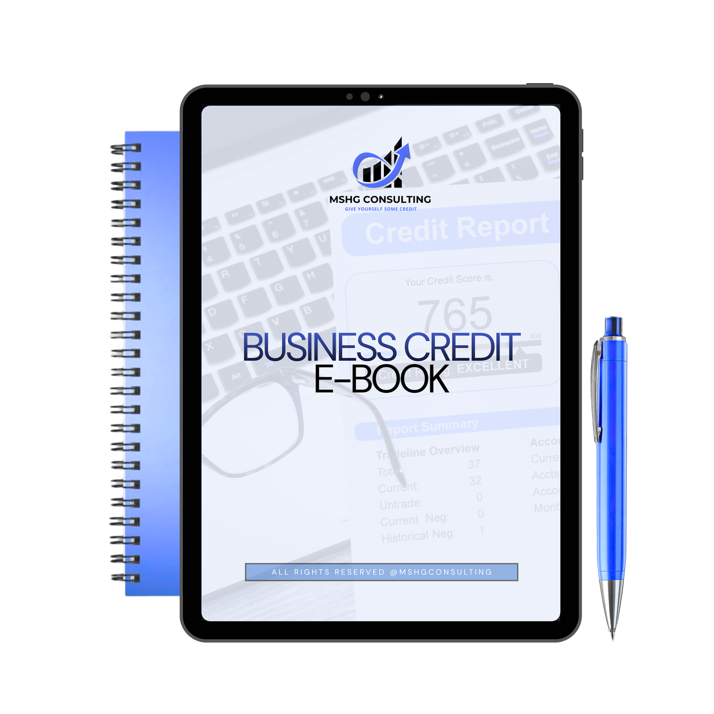 DIY Business Credit E-Book