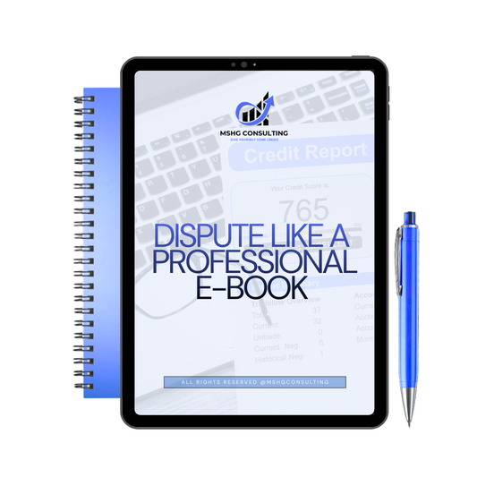 DISPUTE LIKE A PROFESSIONAL